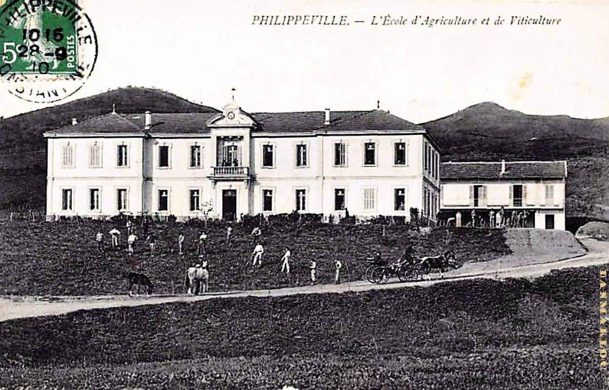 Philippeville - Ecole Agriculture et Viticulture - 1910.jpg